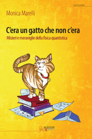 C'era un gatto che non c'era