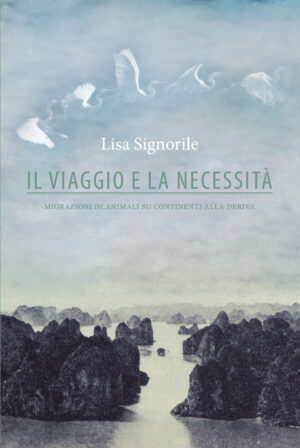 Il viaggio e la necessità