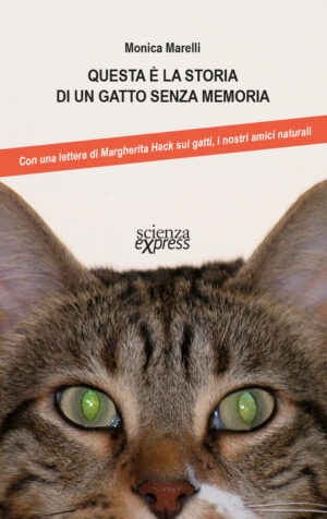 Questa è la storia di un gatto senza memoria