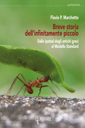 Breve storia dell’infinitamente piccolo