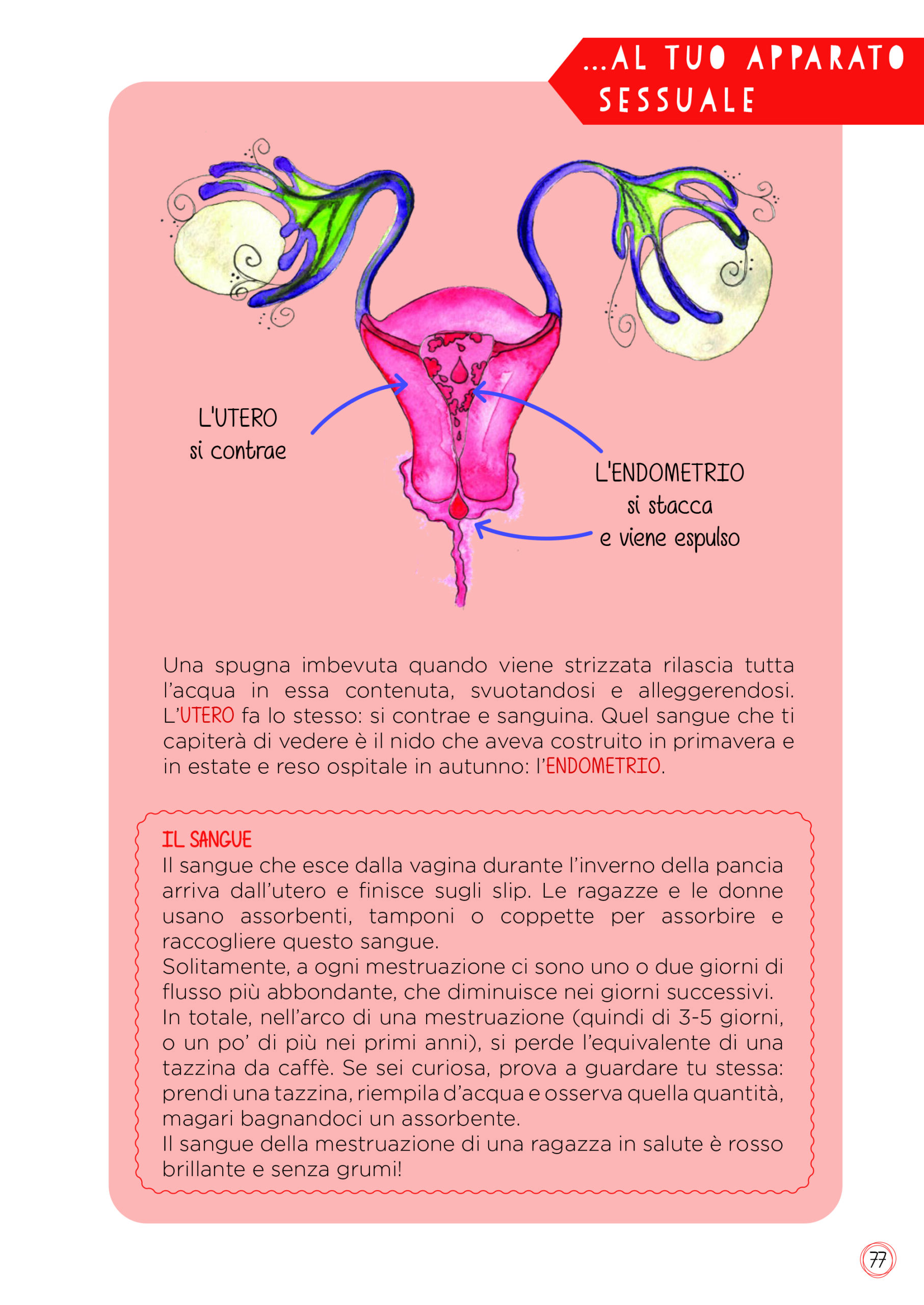 Le stagioni dentro di me - immagine 2