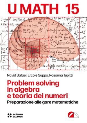Problem solving in algebra e teoria dei numeri