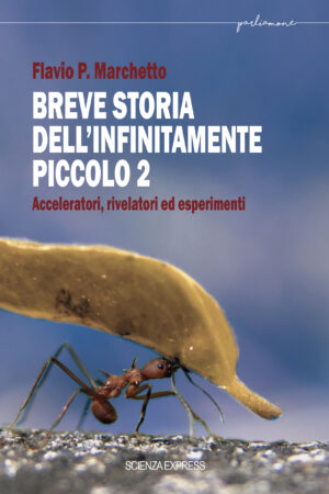 Breve storia dell’infinitamente piccolo 2