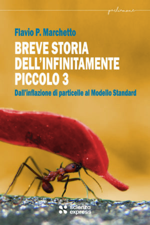 Breve storia dell'infinitamente piccolo 3